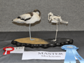 avocetta